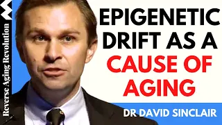 Epigenetic Drift As A Cause of Aging | Dr David Sinclair Interview Clips