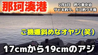 【那珂湊港】2月4日、釣り車中泊、17cmから19cmのアジ、ご機嫌斜めなオヤジ！