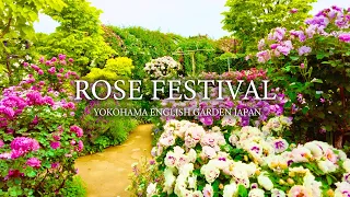 Rose Festival “Yokohama English Garden” Japan walk with relaxation music｜for sleep and relax｜4K