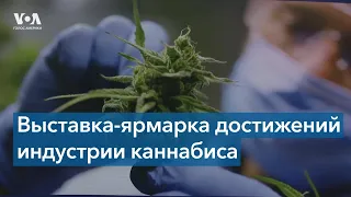 В Нью-Йорке проходит ежегодная выставка посвященная каннабис-индустрии