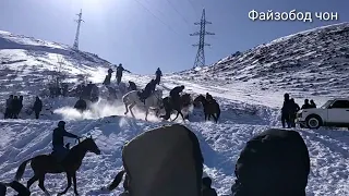 Бузкаши калон дар нохияй Файзобод дехай Заркамар 15 01 2023