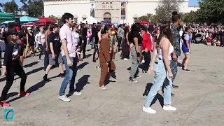 2019 Thriller Flash Mob