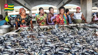 Biggest and cheapest fish market in Togo 🇹🇬 west Africa. cost of fish in the lomé fishing harbor.