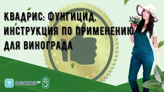 Квадрис: фунгицид, инструкция по применению для винограда