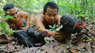 Hunting Wild Chicken and Cooking In Forest Eating Delicious