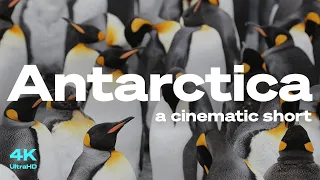 🇦🇶 Antarctica CINEMATIC 4K. Watch till the end.