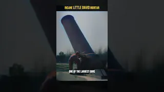 Insane ”Little David” Mortar