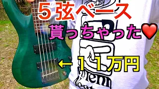 11万円の5弦ベースをタダで貰ったので綺麗にしていく！【LTD B-155DX】