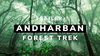 Andharban Forest- Trailer | Dense Forest Of Maharashtra | 2019