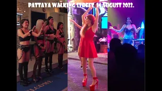 #01 Pattaya Walking Streets Thailand ||  Mini India || Night life @travelwithdzone