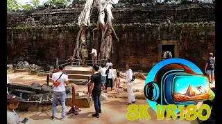Ta Prohm Temple iconic from Tomb Raider staring Angelina Jolie Part 3 8K 4K VR180 3D Travel