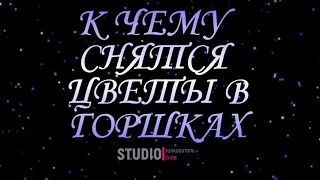 ТОЛКОВАТЕЛЬ СНОВ ~ ЦВЕТЫ В ГОРШКАХ, К ЧЕМУ СНЯТСЯ ВО СНЕ