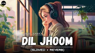 Dil Jhoom - [Slowed + Reverb] - Arijit Singh | Gadar 2 | Lofi Song | Danish Pwskr