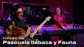 Pascuala Ilabaca y Fauna - Ya No Estamos Para Mentiras | Audiotree Live