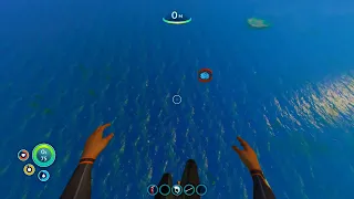 Когда решил поиграть в Subnautica