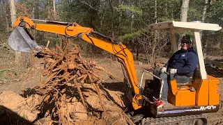 Mini Excavator removing stumps