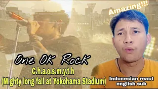 One Ok Rock C.h.a.o.s.m.y.t.h (Mighty long fall at Yokohama Stadium) INDONESIAN RECT english sub