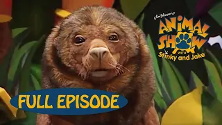 Animal Show | Shark 🦈 / Sea Lion | Jim Henson Family Hub | Kids Cartoon