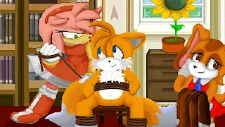 AMY!! PLEASE NO!! STOP!! WHAT DID TAILS DO?!?! Mobius Dark Times: Tails' Story