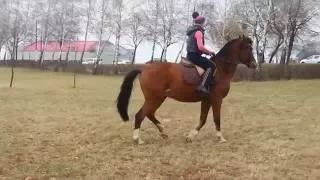 разучиваем менку ног на галопе