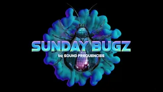 SUNDAY BUGZ ~ Livestream ~ by SFQ