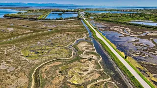 La più bella del Veneto!Ciclovia da Jesolo a Cavallino, Lio Piccolo e Lio Maggiore - 55 Km in BICI