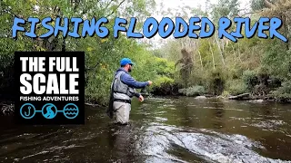 Fishing a Flooded River | Euro Nymphing | Tyenna River | The Full Scale