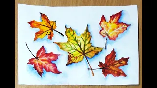 Как нарисовать осенние листья акварелью. Нарисовать осенний лист поэтапно.