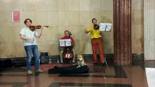 Невероятный концерт в метро Вивальди Зима Vivaldi Winter Wonderful metro concert