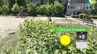 ☀️Погода на 30 КВІТНЯ/ Погода на завтра