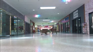 Slice me Nice -- (Fancy) -- Playing in Dead Mall