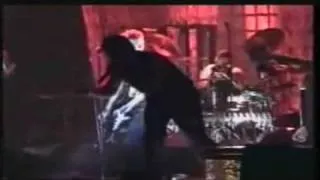 Rammstein  - Zwitter (Live Hamburg 2001)