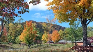 Pisgah National Forest - North Carolina