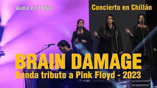 Banda Tributo a Pink Floyd Brain Damage, Concierto Dark Side Of The Moon, Chillán 2023, Audio 16Bits