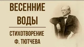 «Весенние воды» Ф. Тютчев. Анализ стихотворения