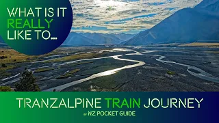 🚆 Tranzalpine Scenic Train Journey: What is it REALLY like?!