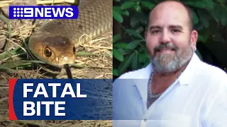 Man dies attempting to remove brown snake from childcare centre | 9 News Australia