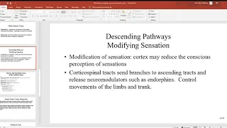 140 Sensory receptors, sensory nerve tracts, pain