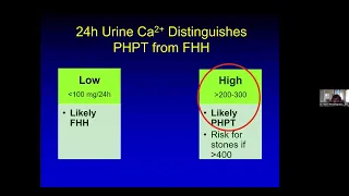 Common Endocrine Disorders with Dr. Merri Pendergrass - March 07, 2023