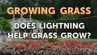 Does Lightning Help Grass Grow?