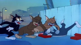 Tom and Jerry   Sleepy Time Tom,  Part 3 best cartoons