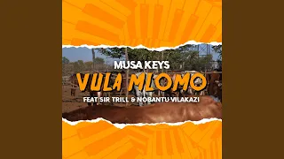 Vula Mlomo (Radio Edit)