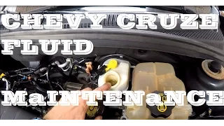 How to check your Chevrolet Cruze fluids. Maintenance.