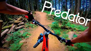 Predator - Tiger Mountain MTB [4K]