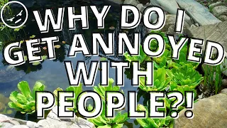 Abraham Hicks -  Getting Bothered By People - How To Stop Getting Annoyed By Others Actions