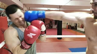 Бой Шреддер против огромного Боксера 110 кг! Проверка на прочность
