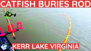 Catfish Buries ROD at Buggs Island