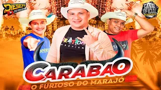 🐃FURIOSO CARABAO SET AO VIVO BLOCO OS GORDINHO 21-02-2023 DJ TOM MAXIMO #carabao #asmelhores #aovivo