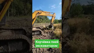 Корчевка пней экскаватором на вашем участке