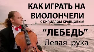 КАК ИГРАТЬ НА ВИОЛОНЧЕЛИ с Кириллом Кравцовым - "Лебедь" Сен-Санса